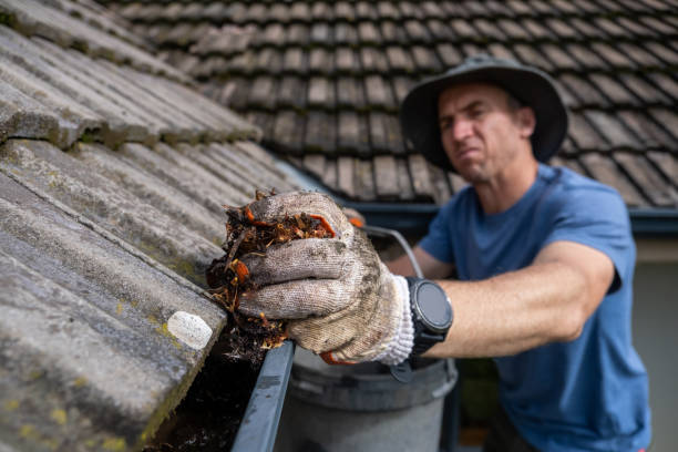 Gutter Cleaning